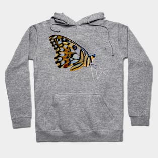 Butterfly Hoodie